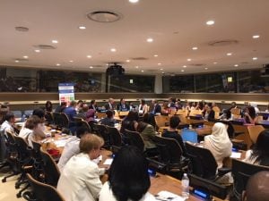 Side event: "SDGS on a local level"