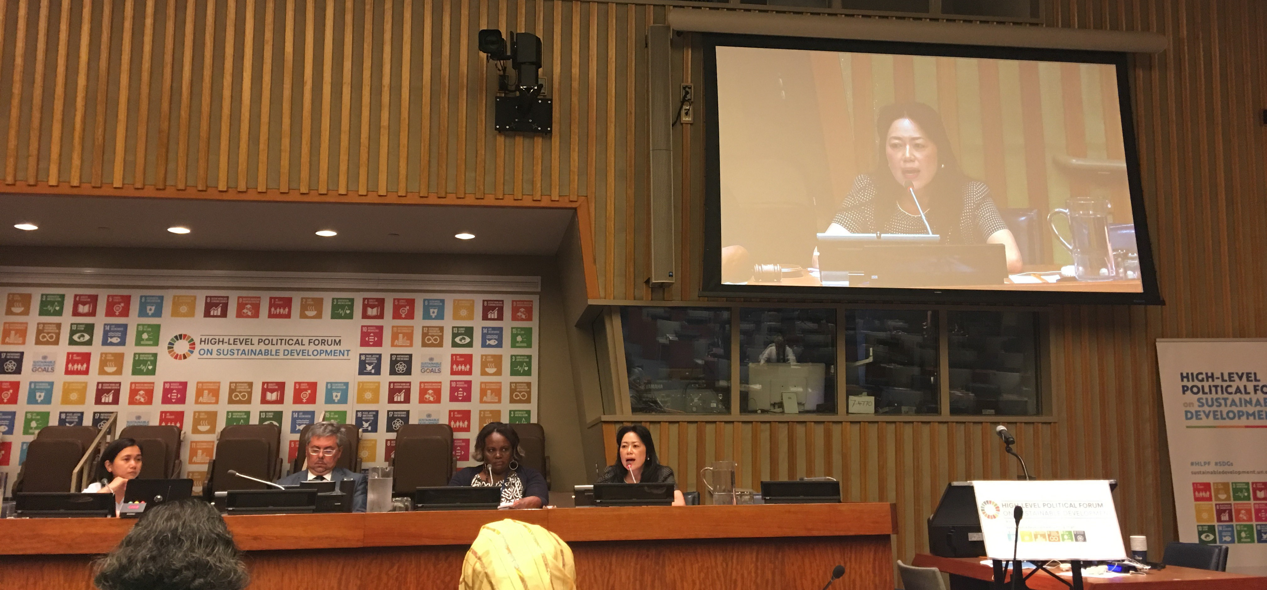 Shoko Arakaki, UNISDR Chief of Branch, Partnerships, Inter-governmental process and Inter-agency cooperation