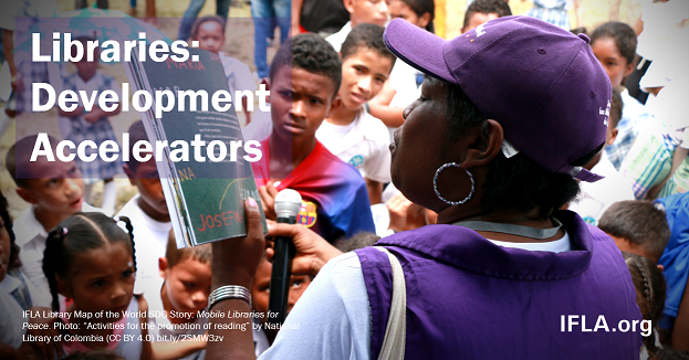 Libraries: Development Accelerators