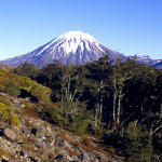 Mountain in Tongariro National Park