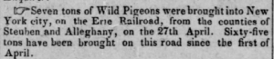 Passenger pigeons mentioned in the Indiana State Sentinel newspaper